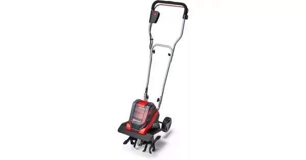 peddy-3053394