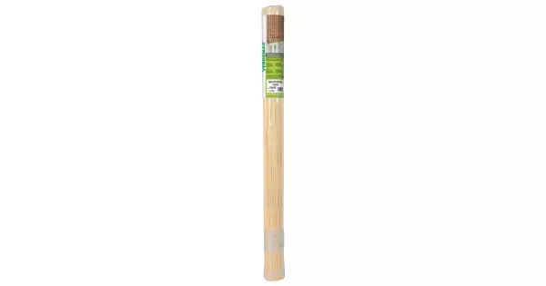 peddy-3054682
