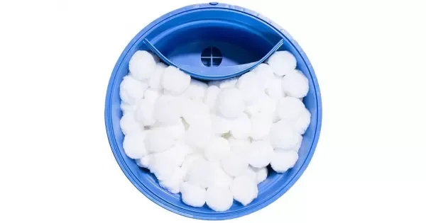 peddy-3077555