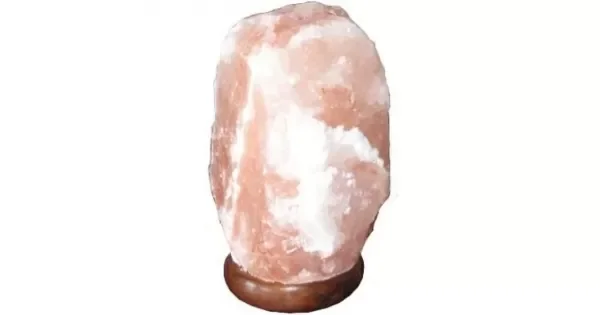 peddy-3099649