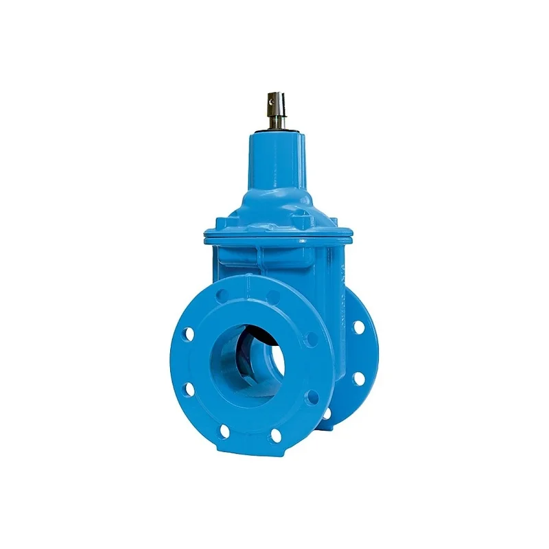 pkvplus-2829276